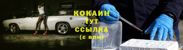 бошки Новозыбков