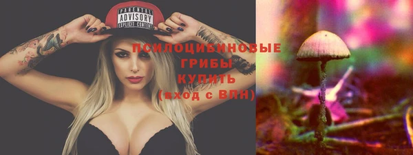 бошки Новозыбков