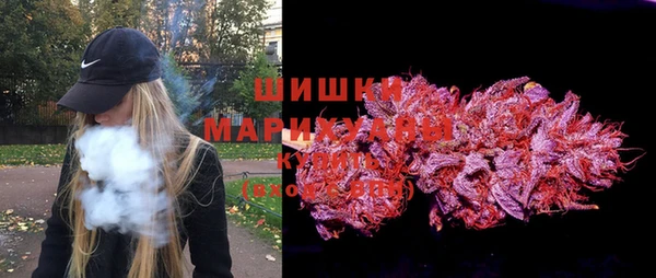 бошки Новозыбков