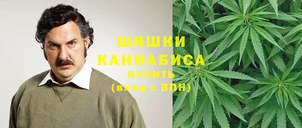 МДПВ Новокубанск