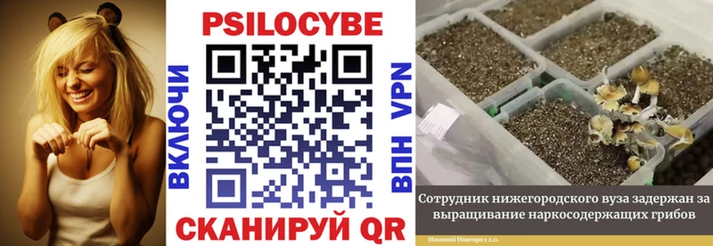 Псилоцибиновые грибы Magic Shrooms  Татарск 