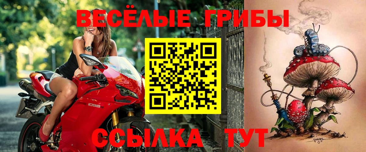 Татарск  Псилоцибиновые грибы ЛСД  Вход с VPN 